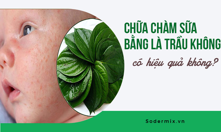 Chữa chàm sữa bằng lá trầu không có hiệu quả không?