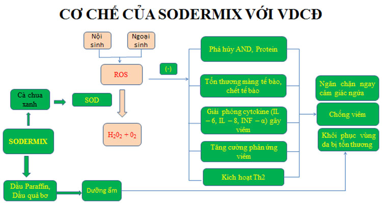 Cơ chế tác dụng của Sodermix® lên chàm sữa 1