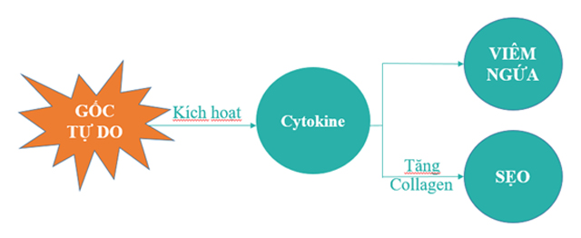 3. Thành phần chuyên biệt, cơ chế thuyết phục 1