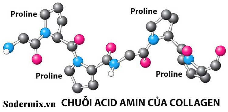 Collagen là gì? 1