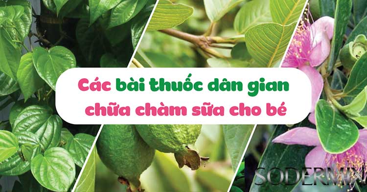 Vì sao nên chữa bệnh chàm sữa bằng phương pháp dân gian? 1