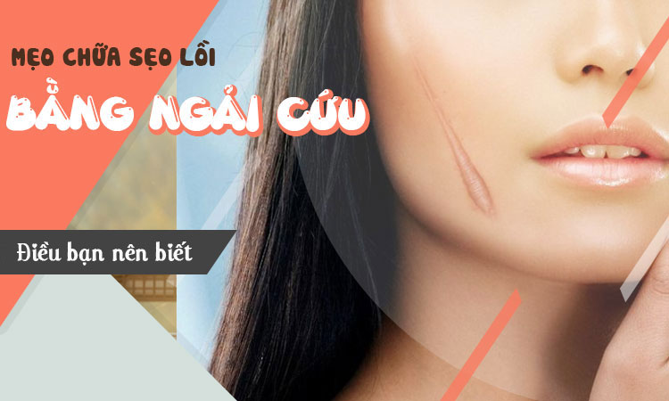 Ngải cứu chữa sẹo lồi có hiệu quả không? Cách dùng như thế nào?