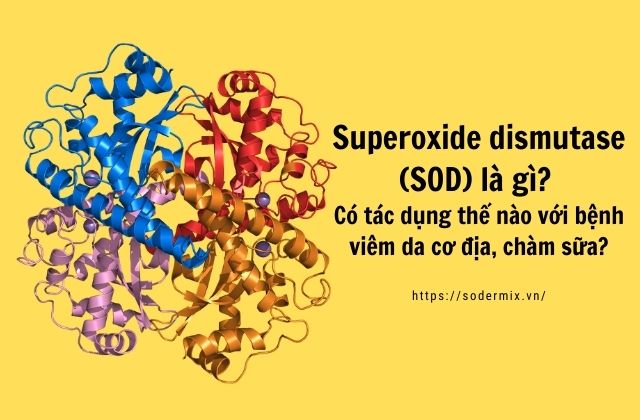 Enzyme Superoxide dismutase (SOD) là gì? Có tác dụng thế nào với bệnh viêm da cơ địa, chàm sữa? 1