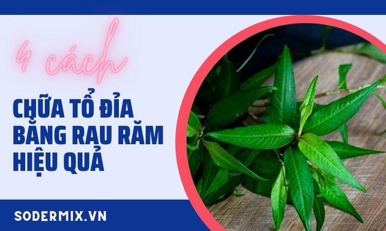 4 cách chữa tổ đỉa bằng rau răm tại nhà hiệu quả nhất