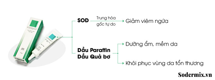 Sodermix Cream - vừa tác động vào căn nguyên gây chàm sữa vừa dưỡng ẩm da hiệu quả 1