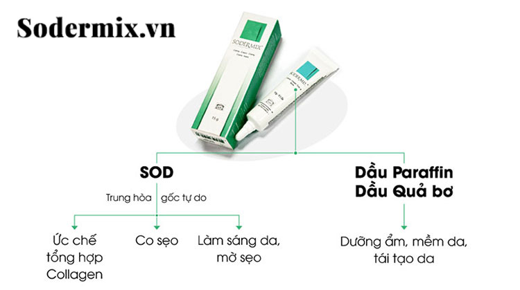 Kem bôi Sodermix - giúp đẩy lùi bệnh tổ đỉa an toàn, nhanh chóng 1