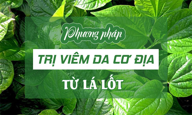 Bật mí cách chữa viêm da cơ địa bằng lá lốt hiệu quả nhất!