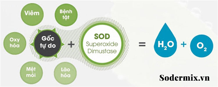 Sodermix - Xóa tan nỗi lo viêm da tiết bã 2