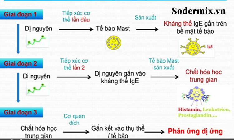 Viêm da dị ứng kinh niên xảy ra như thế nào? 1