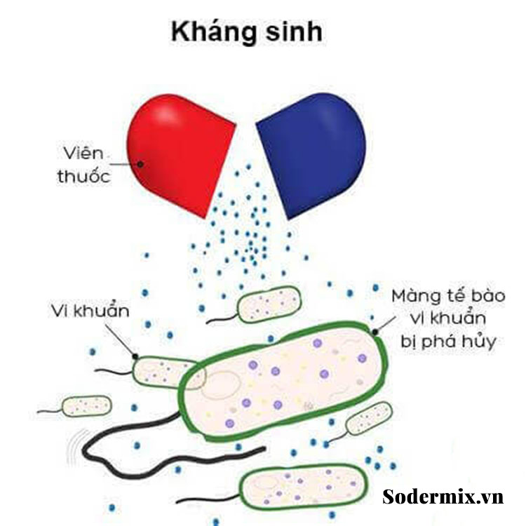 Sử dụng thuốc kháng sinh 1