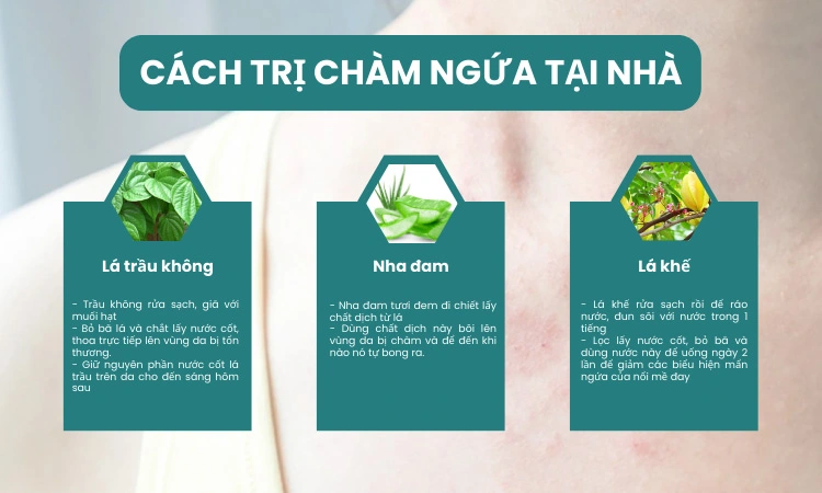 cach-tri-cham-ngua-tai-nha.webp