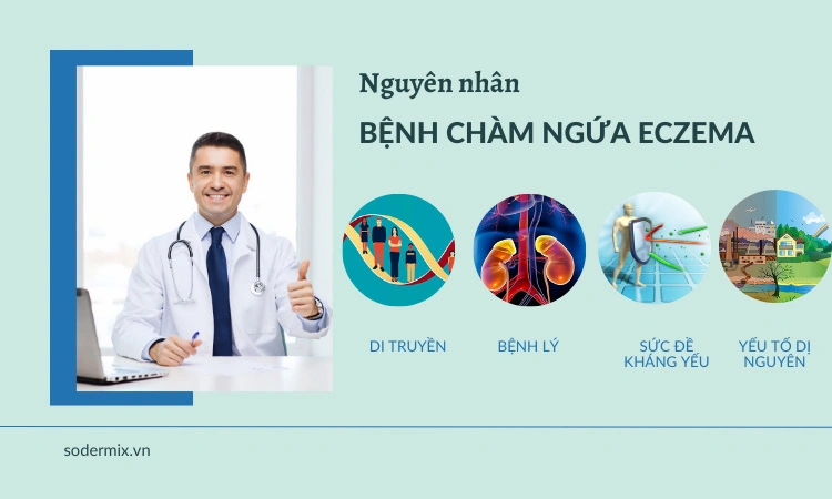 nguyen-nhan-gay-benh-cham-ngua.webp